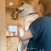 舌が出るあーちゃん