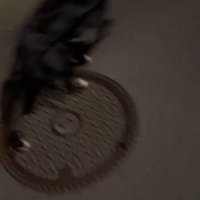 リードを持って歩く