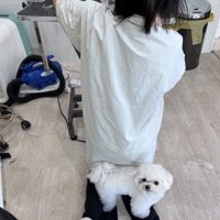 ぴったり