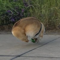 行方不明