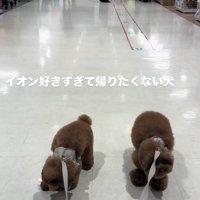 拒否する2匹