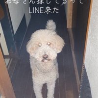 入院2日目も待ち続けるカールちゃん