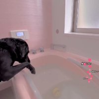 湯加減はどうかな？