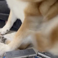 脱線してしまった…！