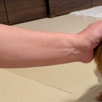 パパ