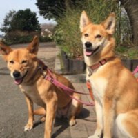 満面の笑みを見せてくれるように！