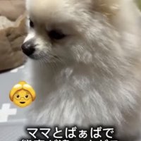 どこ見てる…？？
