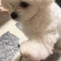 もしかして潔癖症…！？