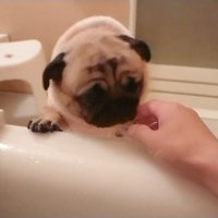 愛おしい反応にキュン♡