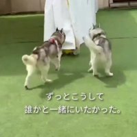 ずっと仲間が欲しかった