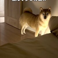 ちょっとだけ近づいてくれました