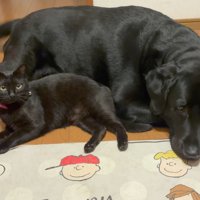 どこで何をしている時も一緒