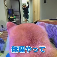 シャンプーをするスティーブくん