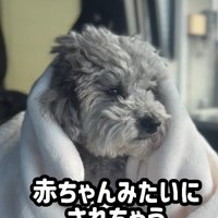 「もう6歳なのに…」