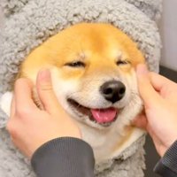とろけそう…