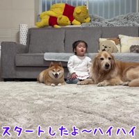 「よーいどん！」