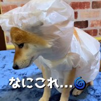 手作りのレインコート！！