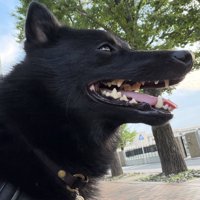 ニコニコ