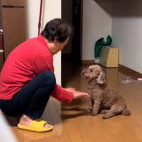 両手を広げるおばあちゃん