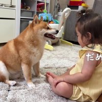 気持ちを表現するほのちゃん
