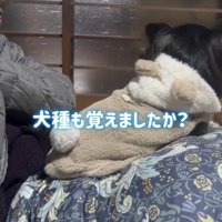 続いての質問