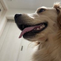 可愛くて憎めません！