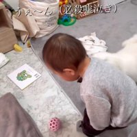 リリちゃんと赤ちゃん3