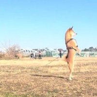 直立不動の姿勢に！！