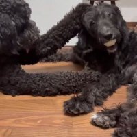 パンチを繰り出す一幕も♪