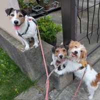 高くて細い段差も…