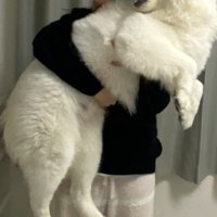 ママ