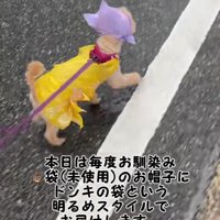 絶妙なカラーコンビが素敵！