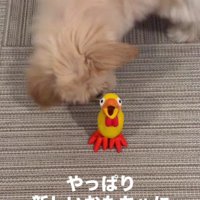 用心深い一面も…