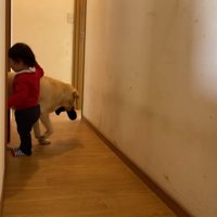 ゴンちゃんが靴下を盗みました！