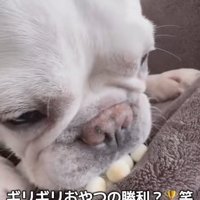 「んま！！」