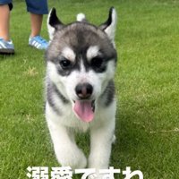 こんなに可愛いなら仕方ない！？