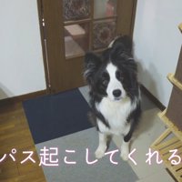 「パパを起こして」と言ったら…