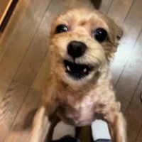 ちくわちゃんらしさは健在