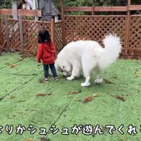 遊ぶふたり