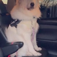 視線の先には…