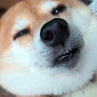 まるで親子のよう