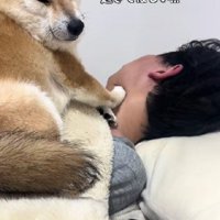「まだ起きない…」