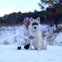 投稿主さんとわんこ