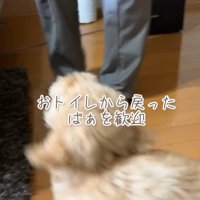 ちゃこたろう君と祖父母の初対面9