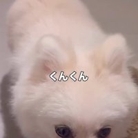 においを確認