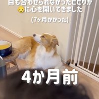現実逃避真っ最中
