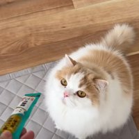 オヤツをあげようとしたら…