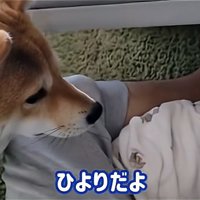 わらびちゃんに教えるパパ