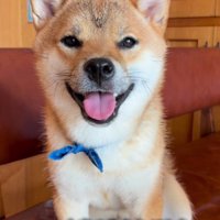 いつも幸せをありがとう