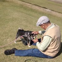 ボール遊びをするおじいちゃんと犬